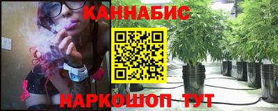 шишки Ставрополь
