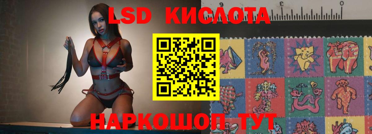 Лсд 25 экстази ecstasy  Вход с VPN  Новокубанск  ЛСД экстази  гидра как войти  ЛСД экстази кислота 
