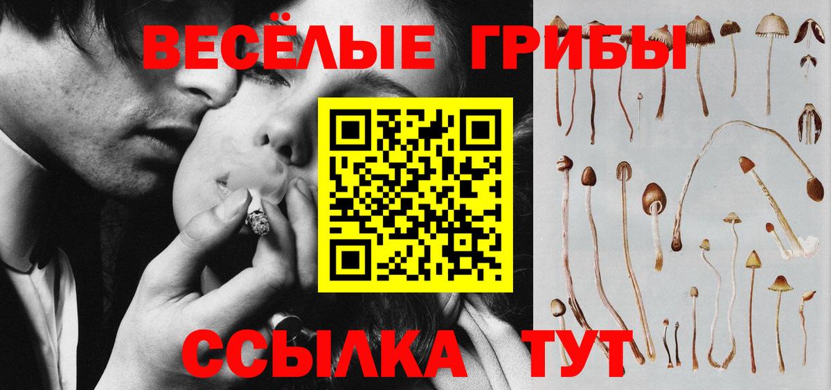 Галлюциногенные грибы прущие грибы  Вход с VPN  Новокубанск  Псилоцибиновые грибы GOLDEN TEACHER 