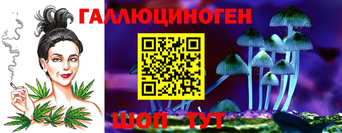 Псилоцибиновые грибы GOLDEN TEACHER Новокубанск